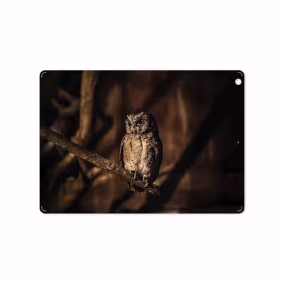 برچسب پوششی ماهوت مدل Owl مناسب برای تبلت اپل iPad Air 2013 A1475
