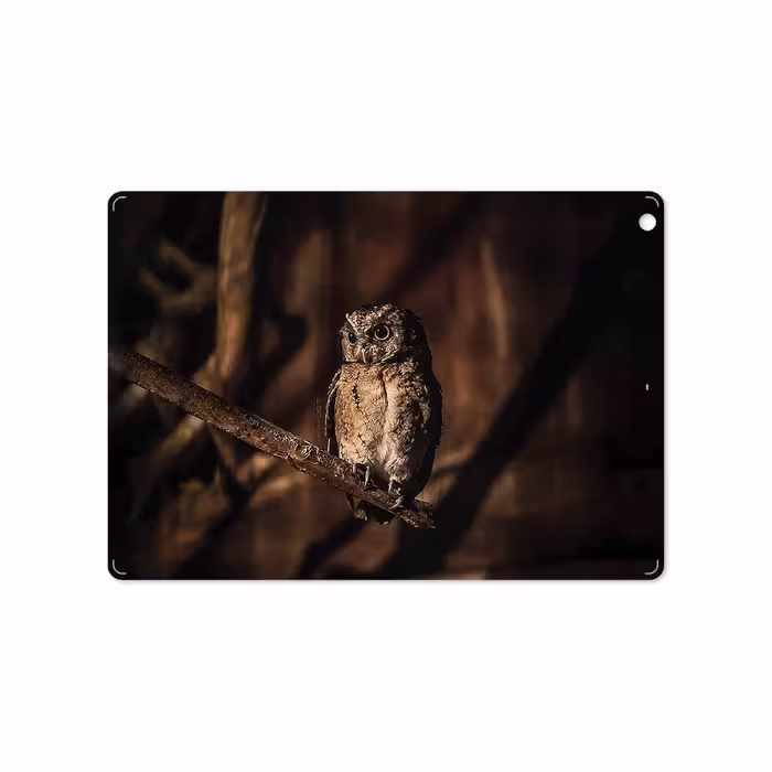 برچسب پوششی ماهوت مدل Owl مناسب برای تبلت اپل iPad Air 2013 A1475