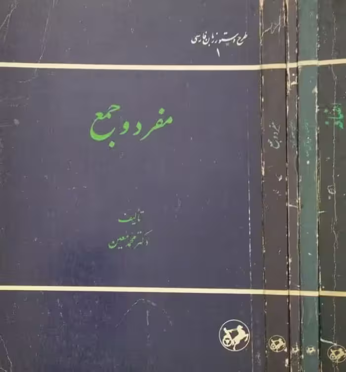 طرح دستور زبان فارسی | محمد معین