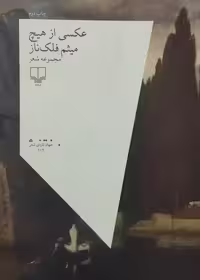 عکسی از هیچ | میثم فلک ناز