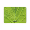 برچسب پوششی ماهوت مدل Leaf-Texture مناسب برای تبلت اپل iPad Pro 11 2018 A1980