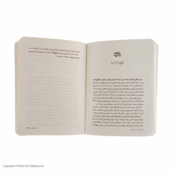 کتاب شاید عروس دریایی اثر الی بنجامین انتشارات پرتقال