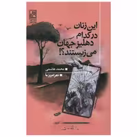 کتاب این زنان در کدام دهلیز جهان می زیستند اثر محمد هاشمی