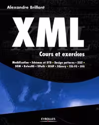 خرید و دانلود نسخه کامل کتاب XML cours et excercices