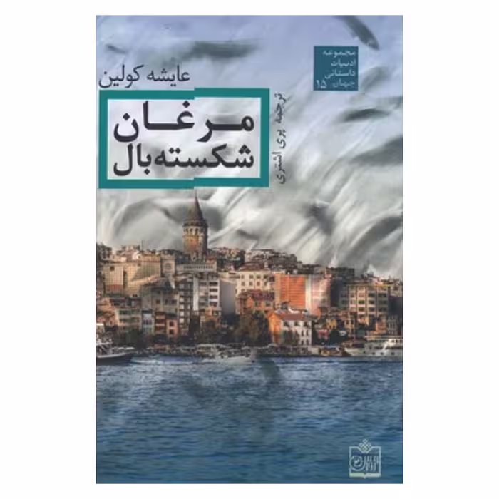 کتاب مرغان شکسته بال اثر عایشه کولین انتشارات فروزش