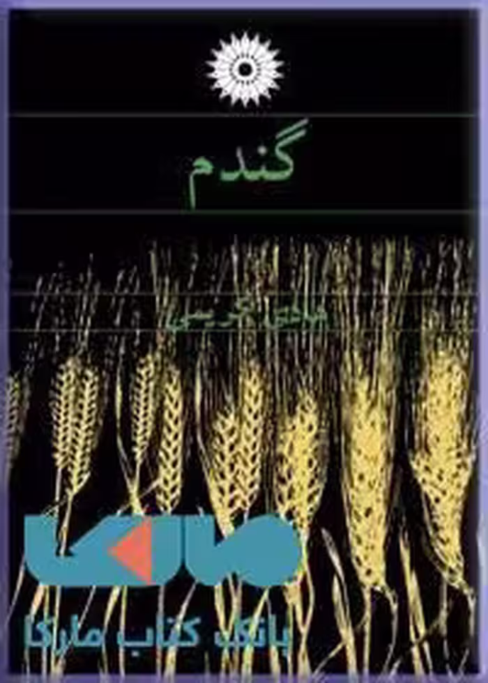 گندم مرکز نشر دانشگاهی