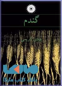 گندم مرکز نشر دانشگاهی