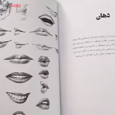 کتاب طراحی از اندام بدن اثر کارلتون پالمر نشر ویژه كتاب