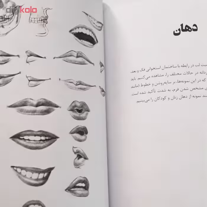 کتاب طراحی از اندام بدن اثر کارلتون پالمر نشر ویژه كتاب