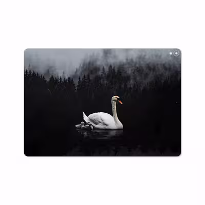 برچسب پوششی ماهوت مدل Swan Lake مناسب برای تبلت اپل iPad Pro 10.5 2017 A1709