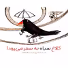 کتاب کلاغ سیاه به سفر می رود اثر بابک صابری - شومیز