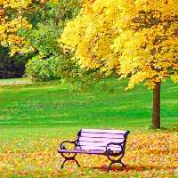 خرید و دانلود عکس Nature-Part-22 کد 36150 | پیک فاکس | Pic Fox