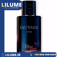 عطر ادکلن دیور ساوج پرفیوم (کریستین دیور ساواج پارفوم) 100 میل مردانه