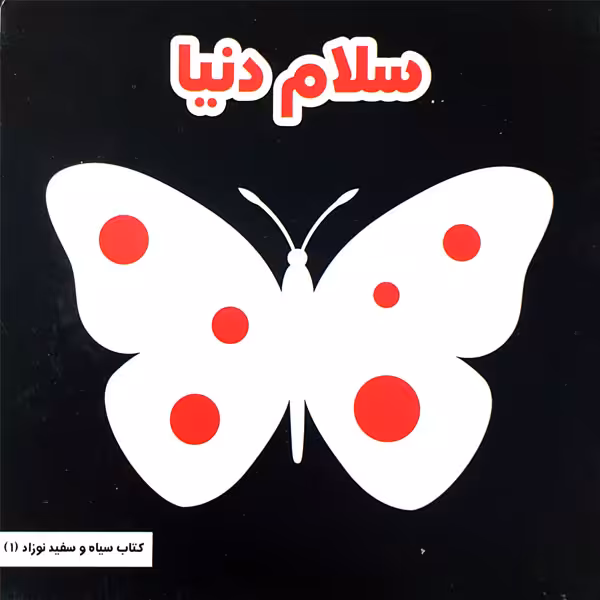 کتاب سلام دنیا اثر مینا یوسفی انتشارات موسسه پژوهشی تاریخ ادبیات کودکان