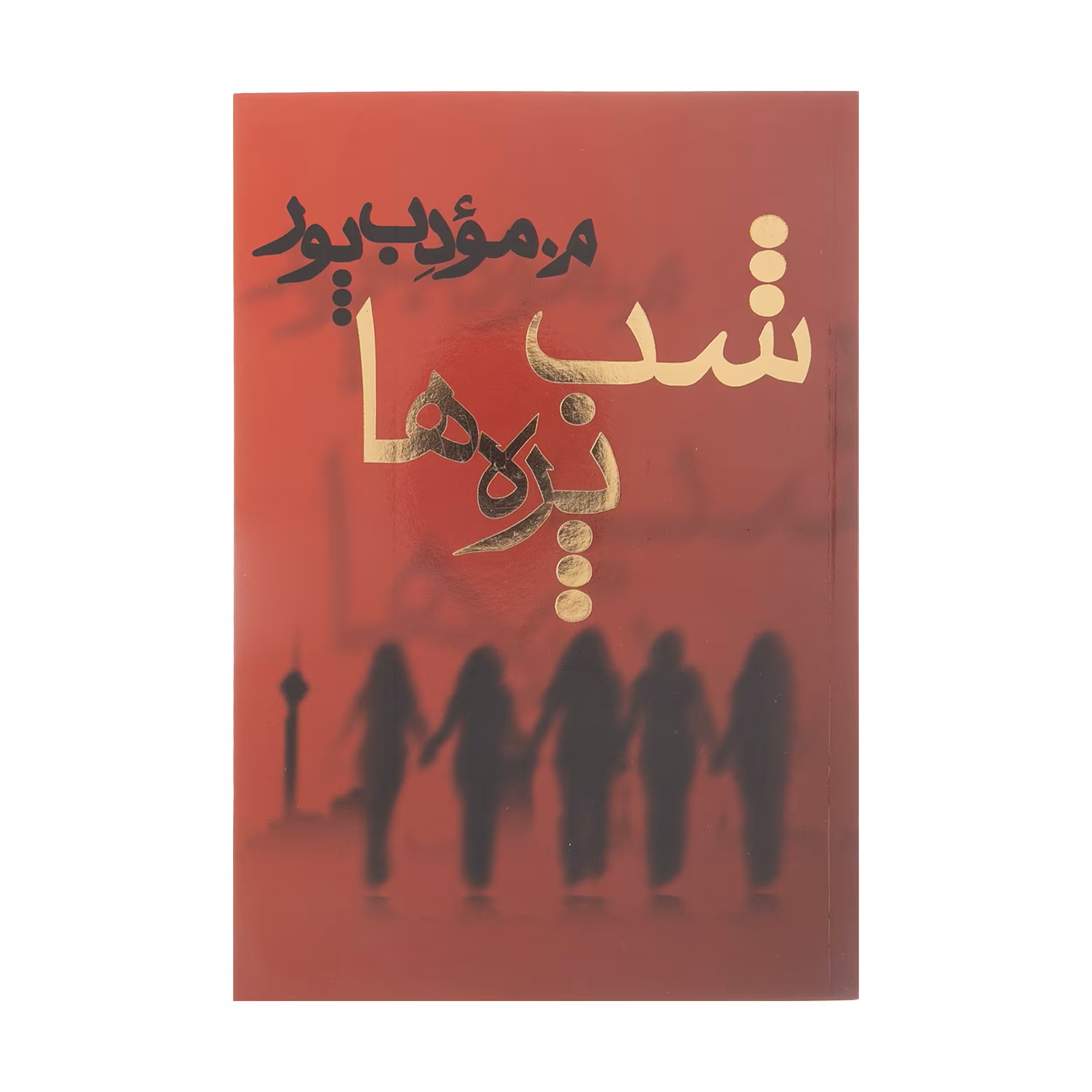 کتاب شب پره ها اثر م. مودب پور انتشارات نیریز