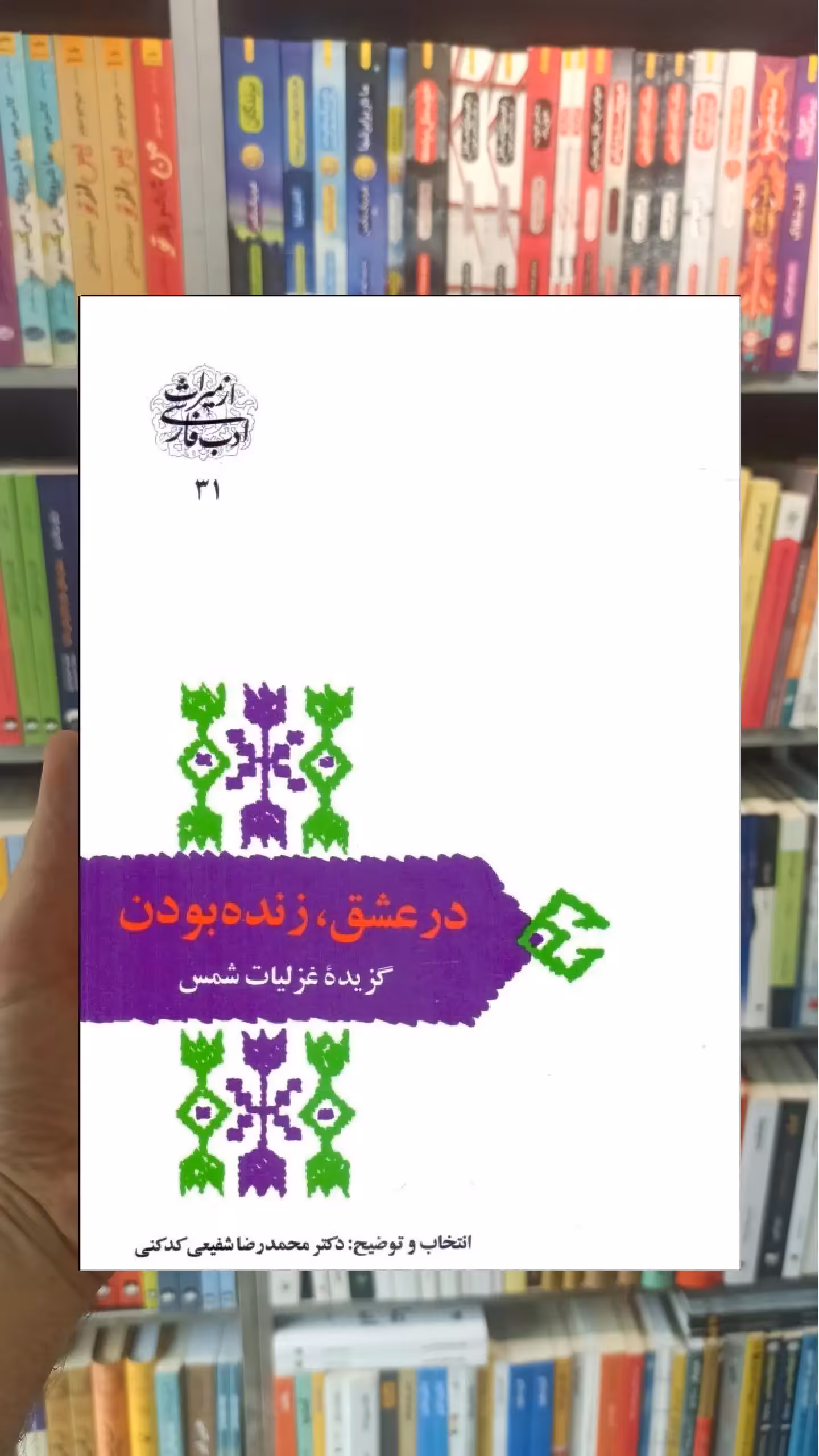 در عشق زنده بودن مولانا سخن