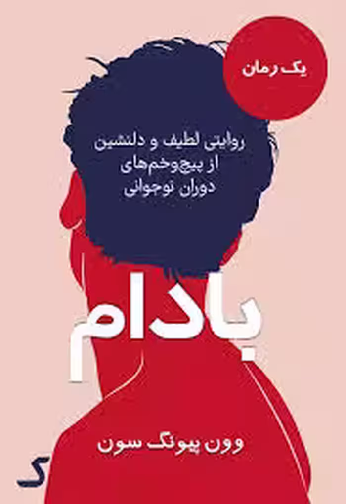 خلاصه کتاب بادام