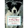 کتاب A Dog Year اثر Jon Katz انتشارات Random House Trade