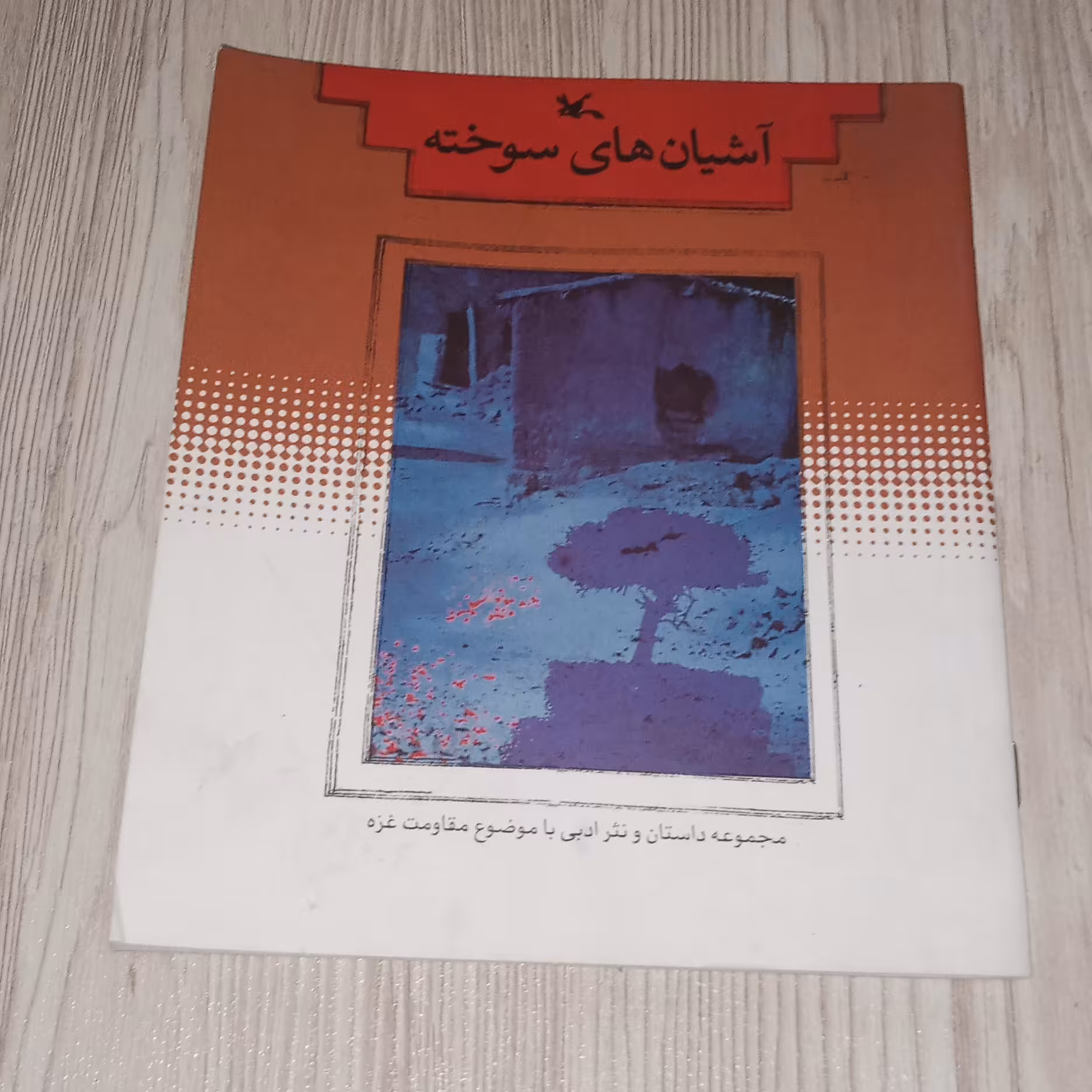 آشیانه های سوخته