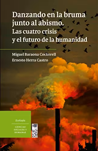 خرید و دانلود نسخه کامل کتاب Danzando en la bruma junto al abismo (Spanish Edition) -   pdf