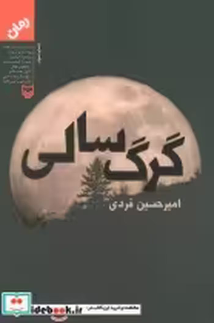 قیمت و خرید کتاب گرگ سالی نشر سوره مهر | ایده بوک