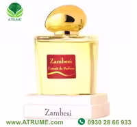 عطر ادکلن اولفاتولوژی زامبسی 50 میل مردانه - زنانه
