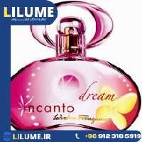 عطر ادکلن سالواتوره فراگامو اینکانتو دریم 100 میل زنانه