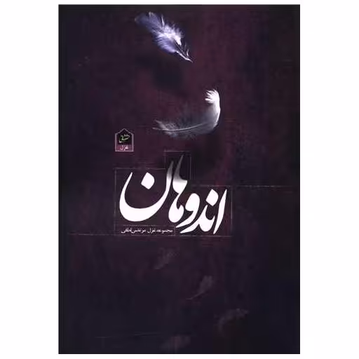 کتاب اندوهان اثر مرتضی لطفی