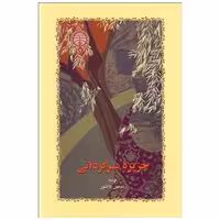 کتاب جزیره سرگردانی اثر سیمین دانشور