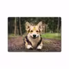 برچسب پوششی ماهوت مدل Dog-2 مناسب برای تبلت سامسونگ Galaxy Tab S4 10.5 2018 T835