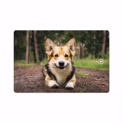 برچسب پوششی ماهوت مدل Dog-2 مناسب برای تبلت سامسونگ Galaxy Tab S4 10.5 2018 T835