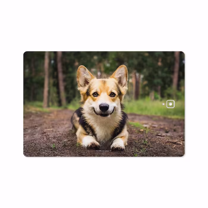 برچسب پوششی ماهوت مدل Dog-2 مناسب برای تبلت سامسونگ Galaxy Tab S4 10.5 2018 T835