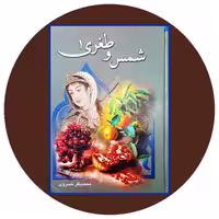 کتاب شمس و طغری- خرید با تخفیف چهل درصد ازکتاب دایره قهوه ای