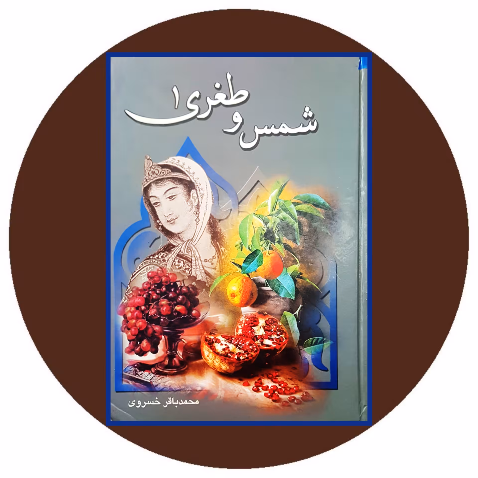 کتاب شمس و طغری- خرید با تخفیف چهل درصد ازکتاب دایره قهوه ای