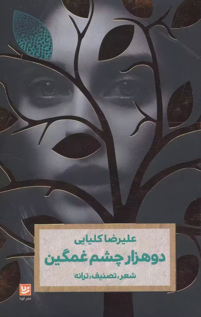 دو هزار چشم غمگین (شعر،تصنیف،ترانه) - ناشربوک | خرید آنلاین کتاب
