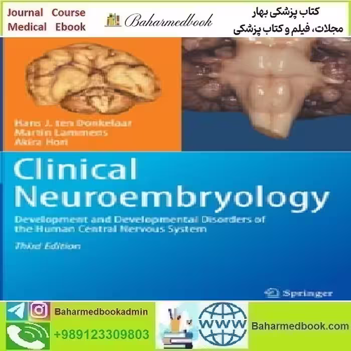 Clinical Neuroembryology Development and Developmen