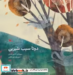 قیمت و خرید کتاب دو تا سیب شیرین اثر حسنی و خاتون | ایده بوک