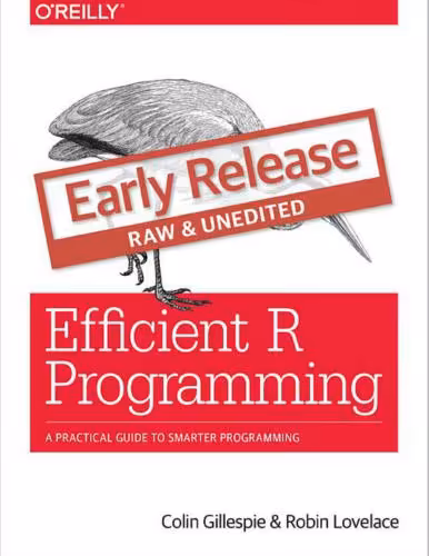 خرید و دانلود نسخه کامل کتاب Efficient R Programming: A Practical Guide to Smarter Programming
