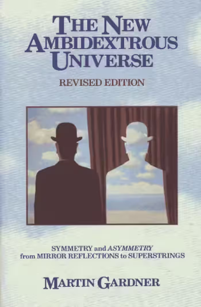 خرید و دانلود نسخه کامل کتاب The New Ambidextrous Universe