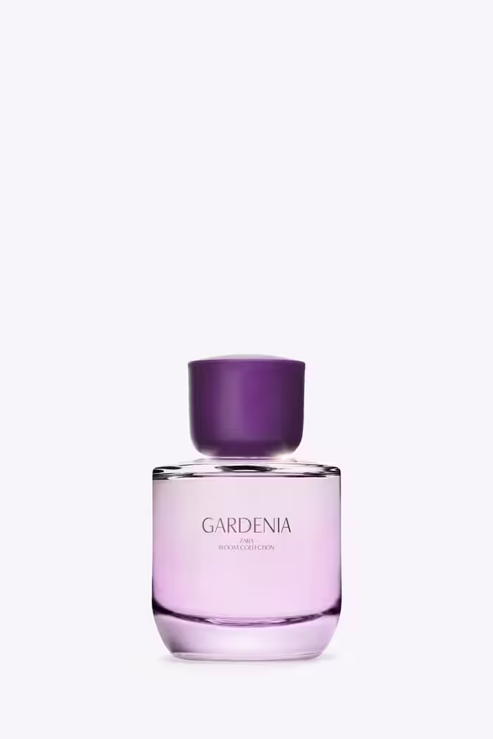 عطر زنانه زارا GARDENIA EDP 90ML | تهران زارا TehranZara