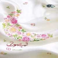 101767-کتاب شب صورتی-دفتر نشر معارف- اثر مظفر سالاری