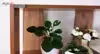 استند گلدان اوشن تجارت مدل Vision