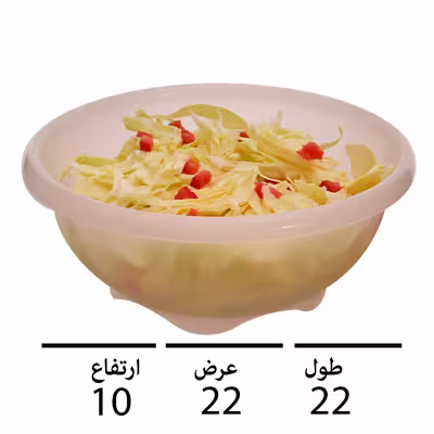 کاسه سانرمو مدل SR-314