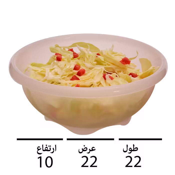کاسه سانرمو مدل SR-314