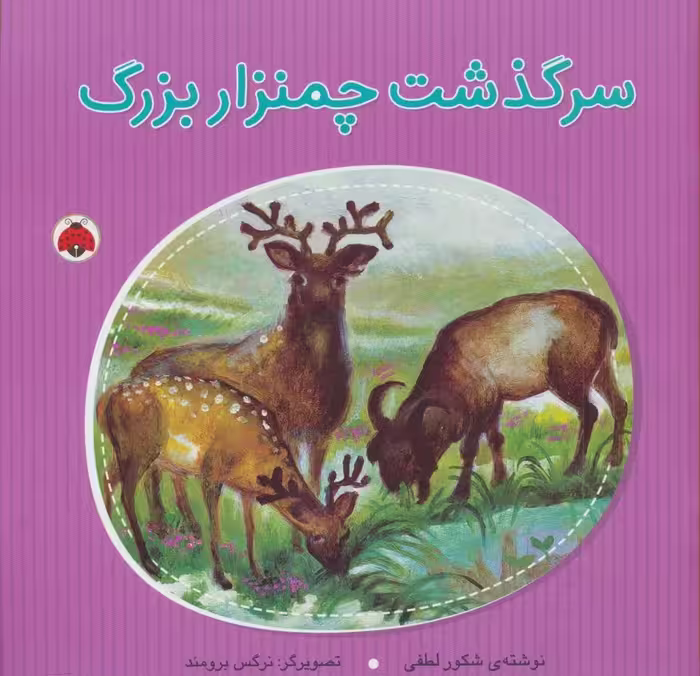 سرگذشت چمنزار بزرگ - ناشربوک | خرید آنلاین کتاب