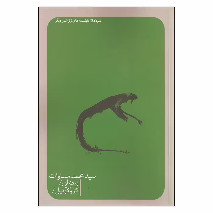 کتاب بیضایی و کروکودیل اثر سید محمد مساوات نشر نیماژ