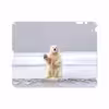برچسب پوششی ماهوت مدل Polar bear مناسب برای تبلت اپل iPad 2 2011 A1397