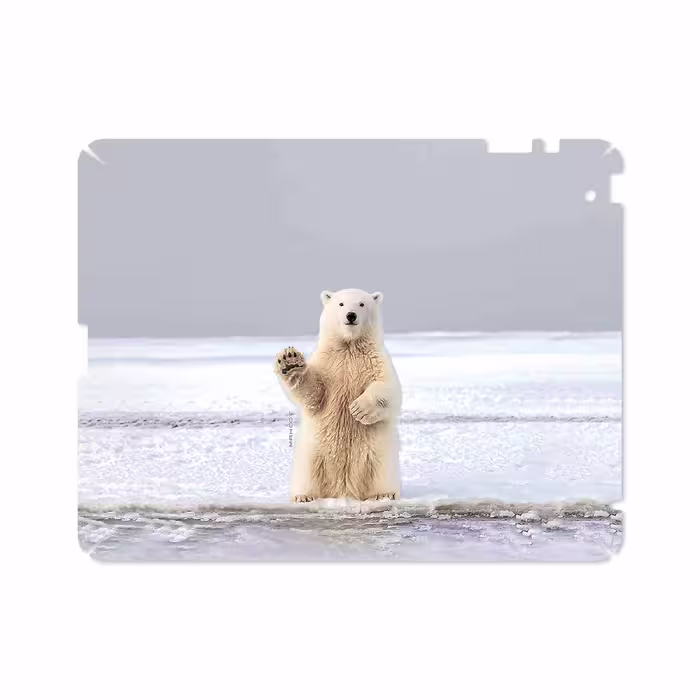 برچسب پوششی ماهوت مدل Polar bear مناسب برای تبلت اپل iPad 2 2011 A1397
