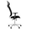 صندلی مدیریتی آرتمن مدل DCM 163 L91