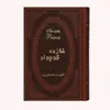 کتاب شازده کوچولو اثر آنتوان دوسنت اگزوپری انتشارات پارمیس